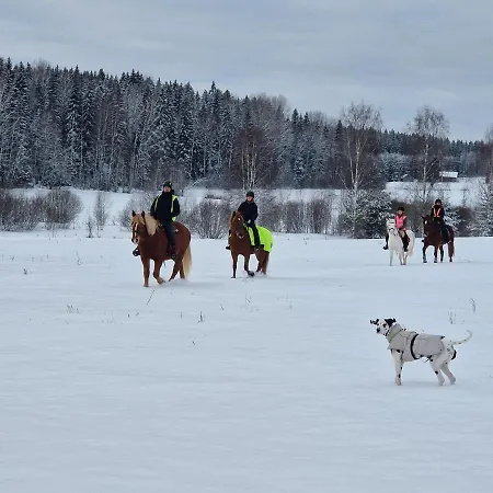 Chalet Huumoriharju *